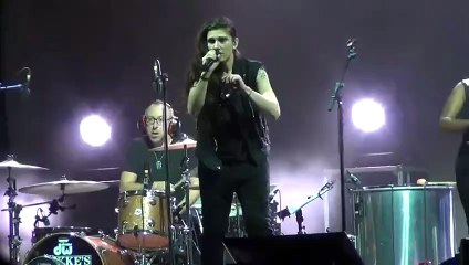 Elisa - Ti vorrei sollevare (live)