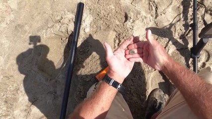 Beach Metal Detecting Epic!