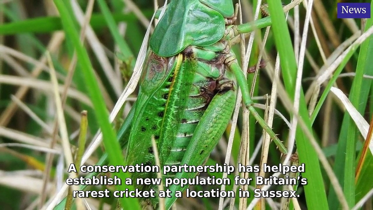 Sussex World Morning Update 8 October, 2025