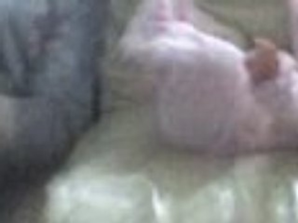 bb ! mdr