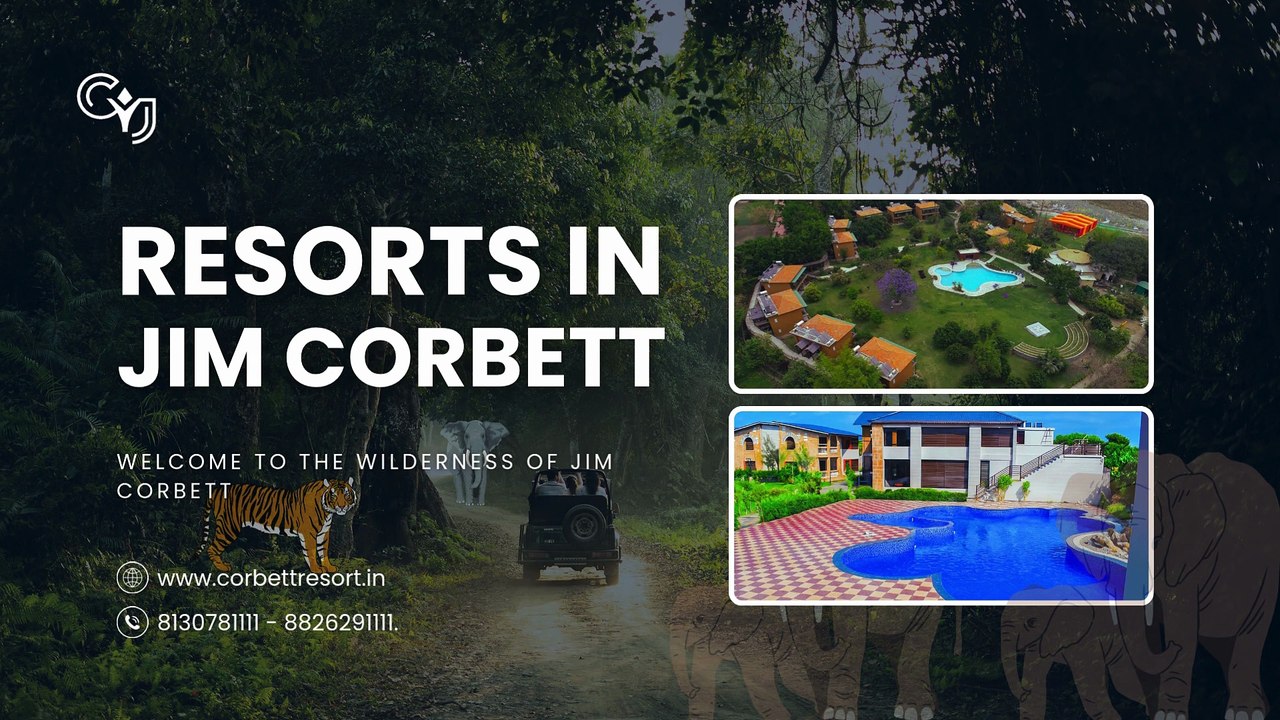 Celebrate and Relax: Top Resorts in Jim Corbett for Weddings & Retreats
