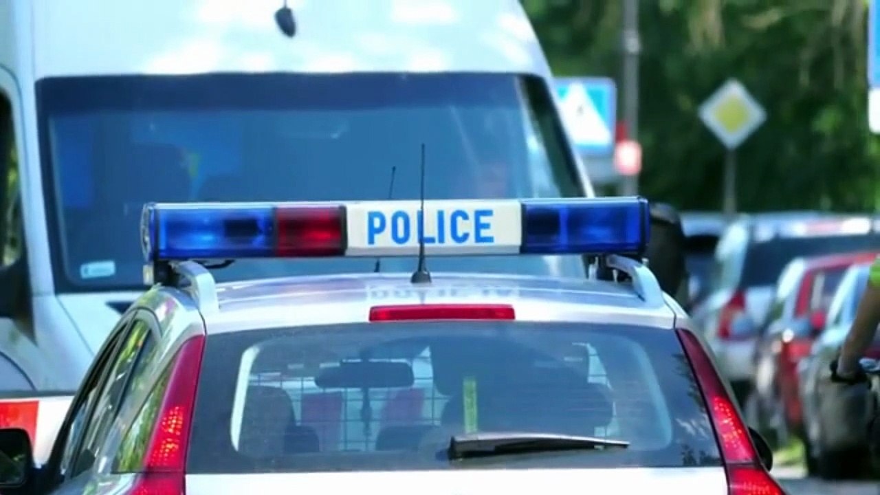 7617    Andreea Gesetze Bürokratie 1