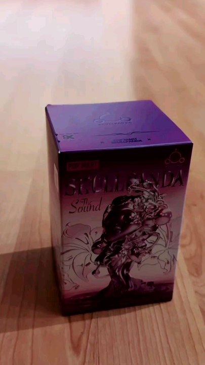 Unboxing Popmart special skullpanda