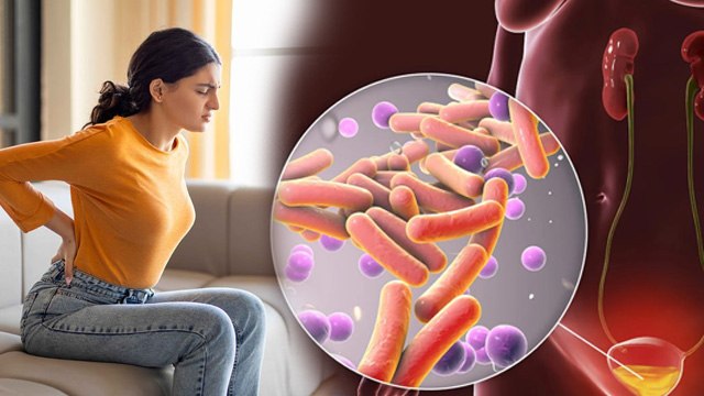Back Pain in UTI: क्या पीठ दर्द यूटीआई का लक्षण है, Symptoms, Causes & Treatment | Boldsky