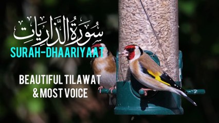 “Surah Dhariyat | Powerful & Emotional Recitation
