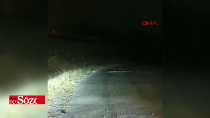 Uludağ'a kar yağdı