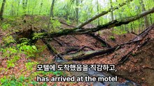 《노인을 위한 나라는 없다 》 — 우연과 운명 속 살인과 추적
