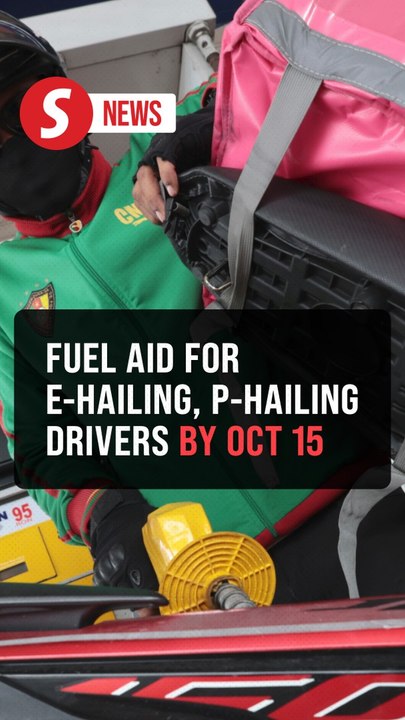P-hailing, e-hailing drivers to get targeted fuel subsidies by Oct 15, says Amir Hamzah
