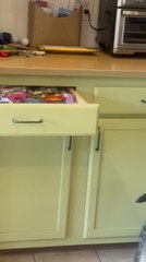 Clever Cat Unlocks Drawer on His Own for Snack