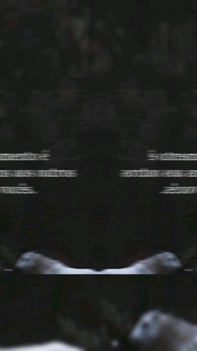 Versículo do dia 08/10/25 #versículo #versículododia #palavradedeus #versículobíblico