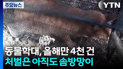 '동물 학대' 올해만 4천여 건...처벌은 솜방망이 / YTN