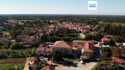 Истрийская коза: символ самобытности и её удивительная история 🐐