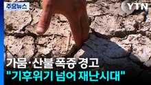 "기후재난 시대"...가뭄·산불 폭증 경고 나왔다 / YTN