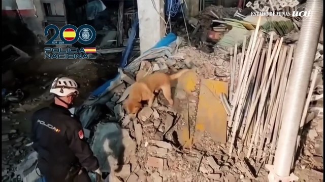 Dois mortos e dois desaparecidos no desabamento de prédio em Madri