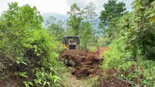 Optimizing the Repair of Old Plantation Roads with a D6R XL Bulldozer