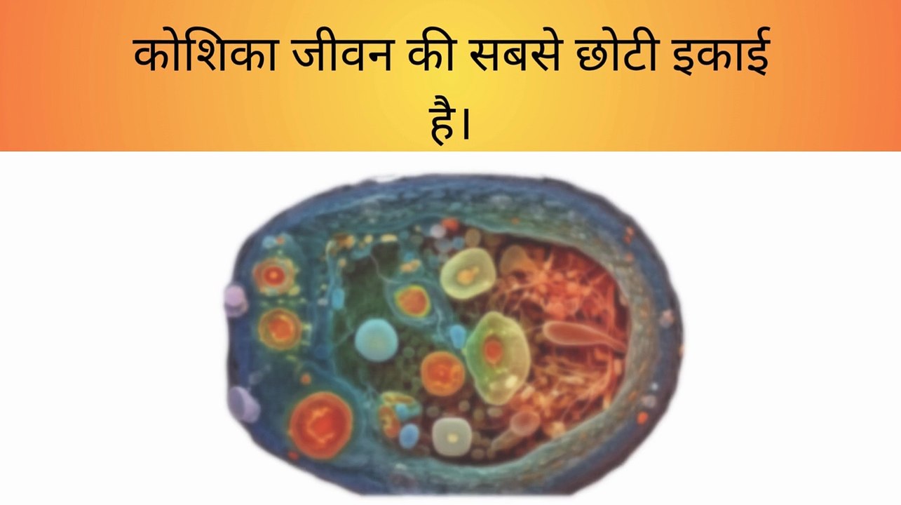 What is a Cell?