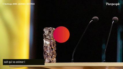 César 2026 : Changement dans la cérémonie ! On sait qui va animer la 51e édition, un artiste qu'on n'avait pas vu venir et pourtant
