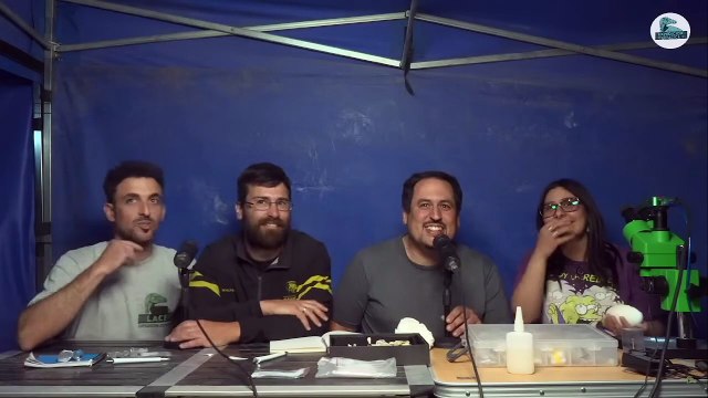 Investigadores del Conicet encontraron un huevo de dinosaurio carnívoro en un excepcional estado de preservación