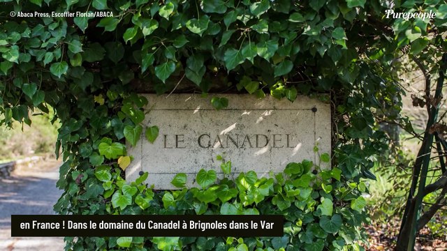 George Clooney installé dans une ferme à Brignoles (Var) avec sa femme Amal et leurs jumeaux : pourquoi il a fui Hollywood pour la France