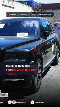 BIR files tax evasion complaints vs Discayas, St. Gerrard over P7-B liability