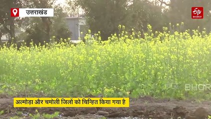 प्रधानमंत्री धन-धान्य कृषि योजना के लिए चुने गए उत्तराखंड के ये दो जिले, बदलेगी खेती की तस्वीर