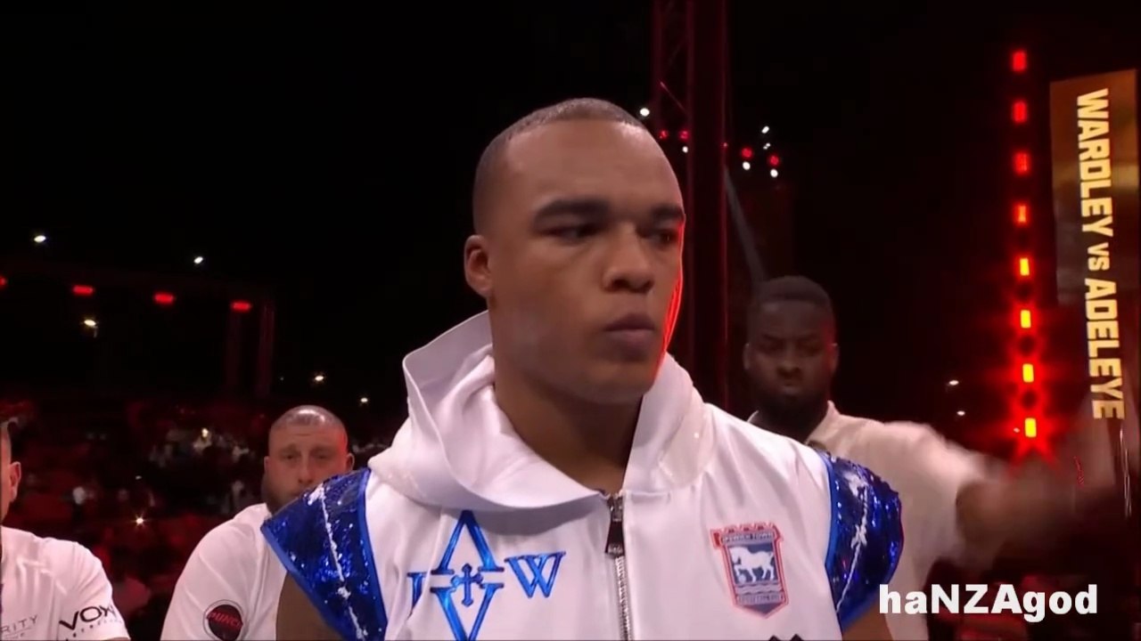 Fabio Wardley - Highlights & Knockouts (haNZAgod)