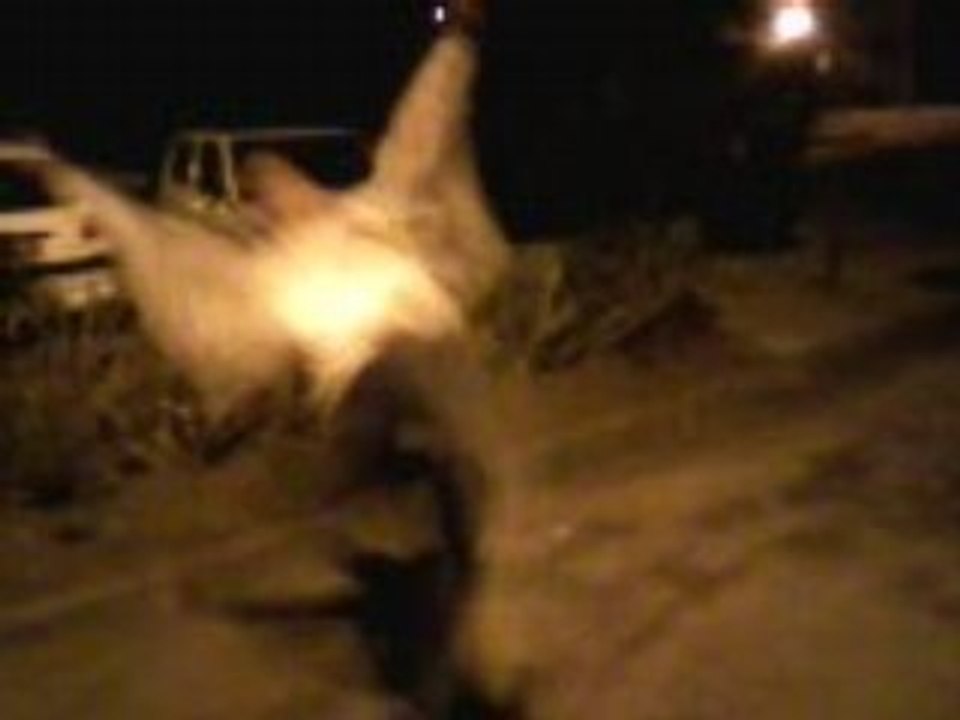 Danse electrik