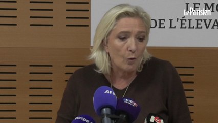 « Je censure tout » : Marine Le Pen veux faire tomber les gouvernements