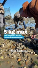 Pêche à pied lors des grandes marées