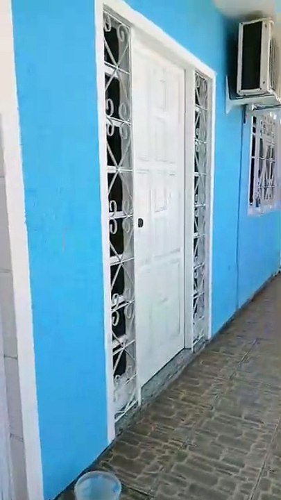 Cobra "invade" casa e assusta moradores na Grande Florianópolis