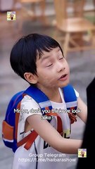 No Surrender, Only Desire Engsub