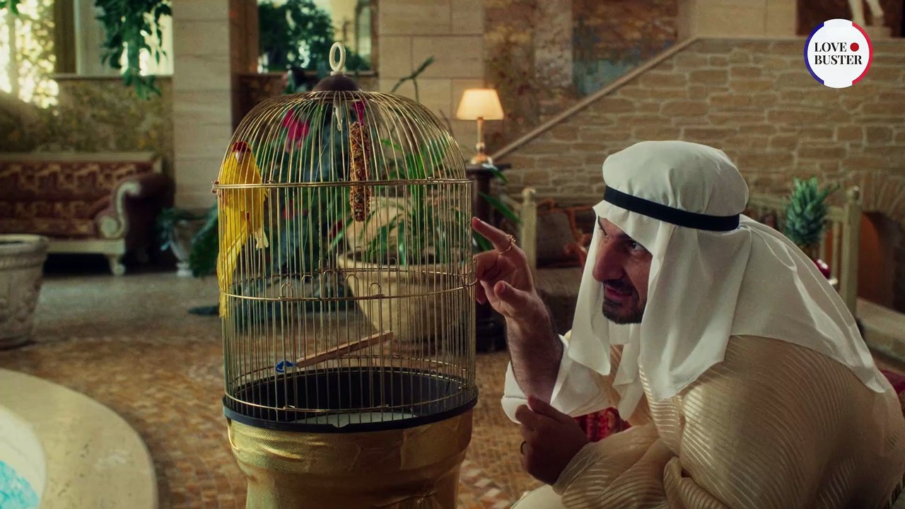 Prince Arabe Prenant Ma Liberté