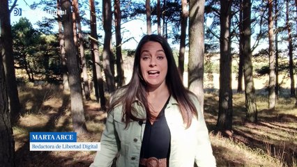 Dónde encontrar setas en España este otoño: mapa de las mejores zonas 2025