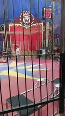 600 ابتسامة في السيرك.. سوهاج ترسم الفرح على وجوه ذوي الإعاقة…