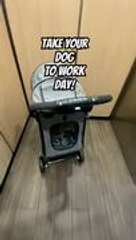 Man Brings Dog To Work