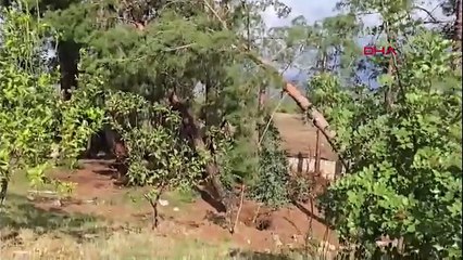 Ortalık savaş alanına döndü! O ilimizde fırtına dehşeti