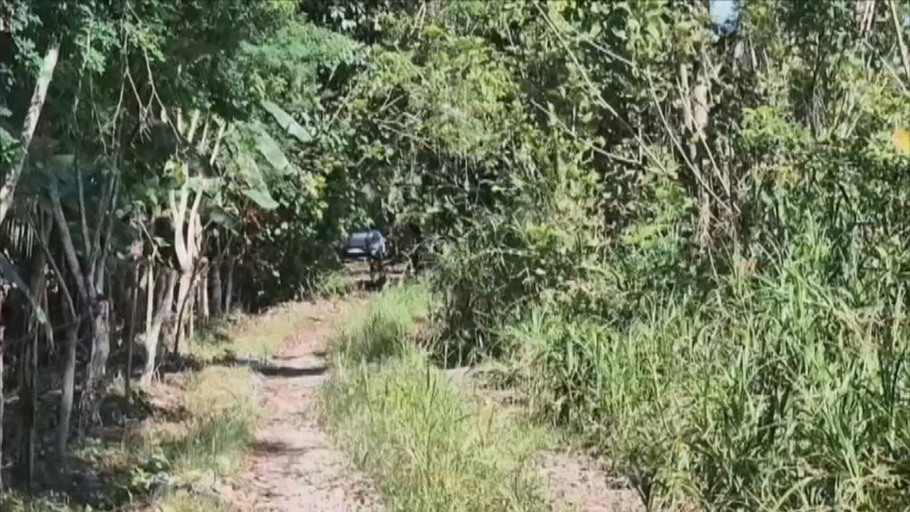 Bocas del Toro: Investigan supuesto vertedero clandestino con desechos hospitalarios