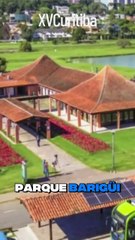 Vereador critica pautas federais na Câmara e pede atenção aos problemas de Curitiba