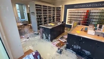 Video shows destruction left behind after police incident at Hove shop