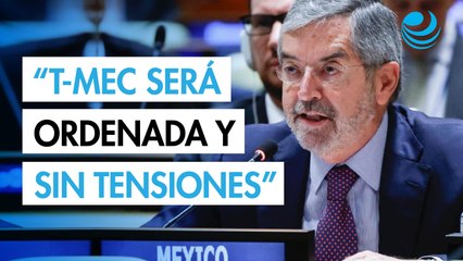La revisión del T-MEC será ordenada y sin tensiones: Juan Ramón de la Fuente