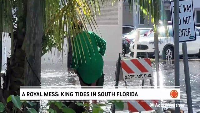 Royal mess: king tides in South Florida