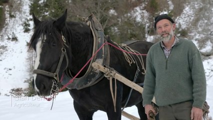 Histoire de la domestication - Épisode 2 -  De l'âge industriel à nos jours