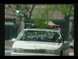 - Mutilations Animales 4 5