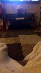 **Meilleurs potos !**