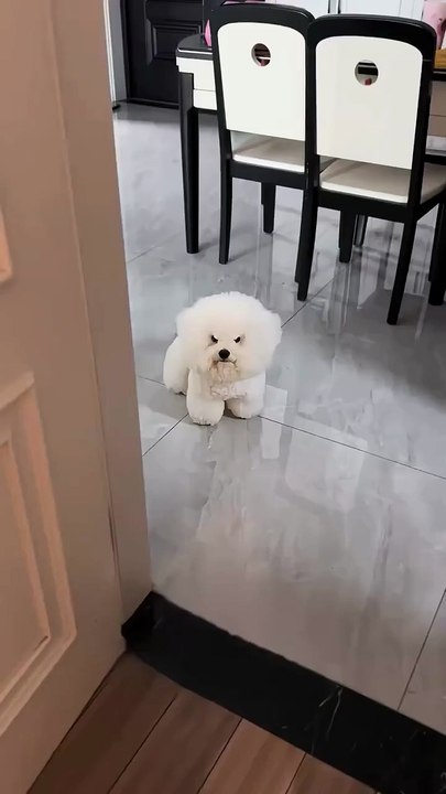 Où est ma bouffe, mec ?