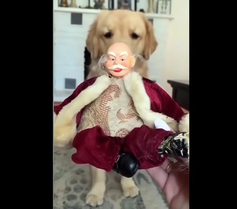 Petits désastres drôles.