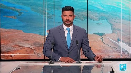 Nueve barcos de la Flotilla de la Libertad fueron interceptados por las fuerzas israelíes