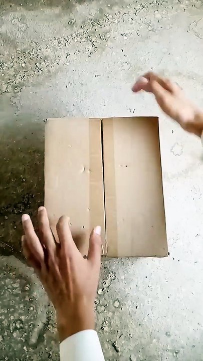 Love Birds New Unboxing