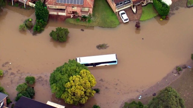 Over 50,000 marine animal deaths recorded as a result of South Australia’s toxic algal bloom