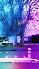 Certaines femmes ont perdu la volonté de se remettre en couple